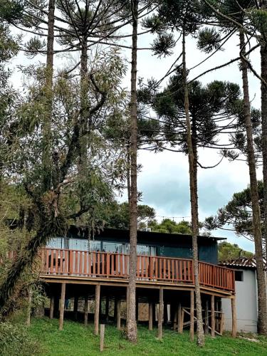 Природа в окрестностях лоджа