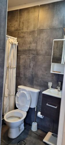 a bathroom with a toilet and a sink at El jacaranda Alojamiento Diario in San Luis