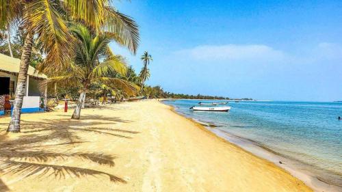 Campement Le Canoë في Oussouye: شاطئ فيه نخيل وقارب على الماء