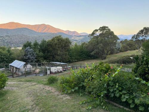 المناظر الطبيعية بالقرب من الإقامة في مزرعة