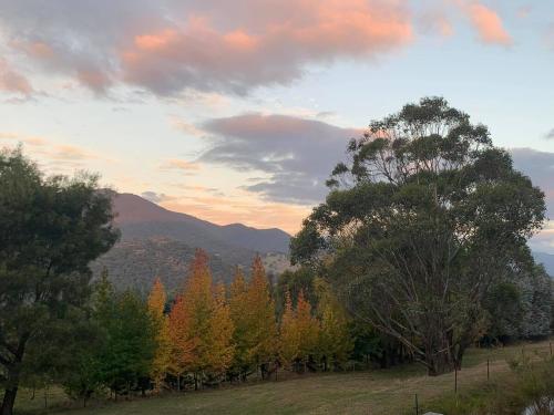 المناظر الطبيعية بالقرب من الإقامة في مزرعة