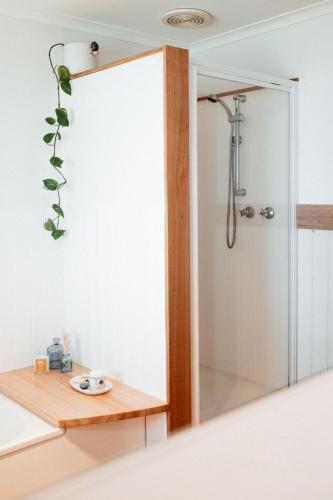 a mirror in a bathroom with a shower at StudioNESS in Scamander
