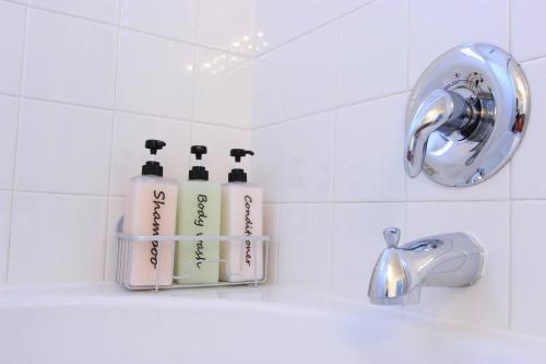 een badkamer met 2 flessen zeep en een wastafel bij Modern Luxe Stay • Bright & Photo-Ready in Broomfield