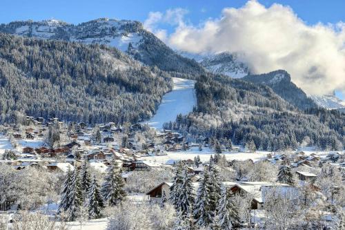 Apartment With Nordic Bath In Les Carroz