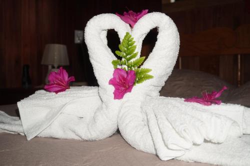 Campo Azul #3 - Monteverde في مونتيفيردي كوستاريكا: تم صنع حيوان المنشفة ليبدو مثل البجعة