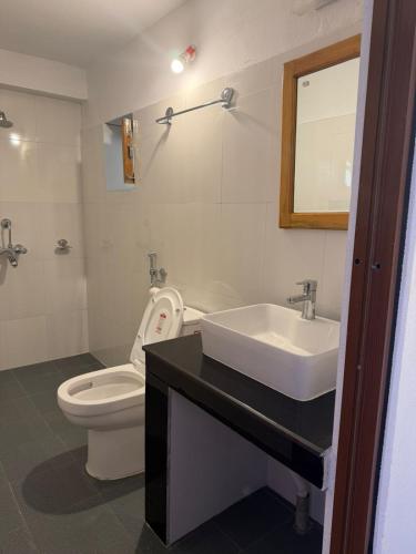 a bathroom with a white toilet and a sink at RJ Boutique Hotel - Ghandruk in Astam