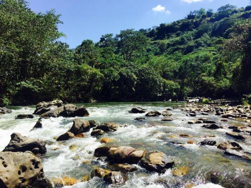 Naturlandskabet i nærheden af feriehuset