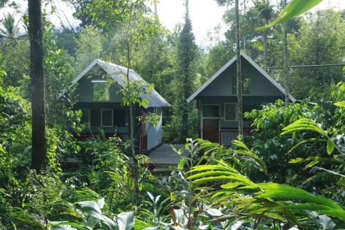 Vườn quanh Mountain Shadows