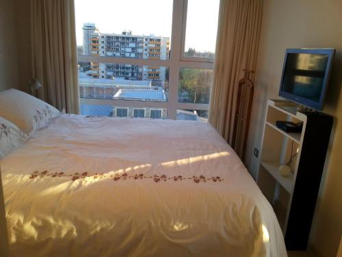 a bedroom with a bed with a window and a television at Apartamento Alemania in Temuco