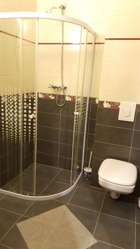 a bathroom with a shower and a toilet at Pensiunea Agroturistica Cerna, Vaideeni - Polovragi in Vaideeni