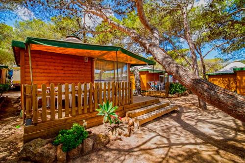 a wooden cabin with a bench in front of it at Camping Cala Nova in Es Cana