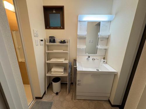 ein kleines Badezimmer mit Waschbecken und Spiegel in der Unterkunft OSAKA DOSHIN HOUSE in Osaka