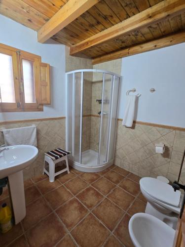 Un baño con ducha, inodoro y lavabo. en Los ferreles, en El Sabinar