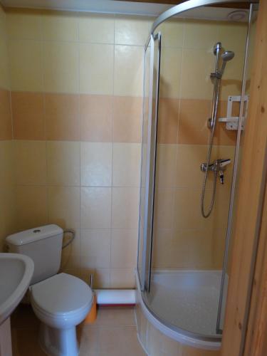 a bathroom with a shower with a toilet and a sink at U Górali in Jagniątków