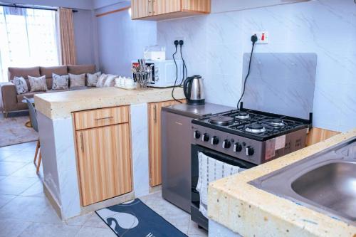 Havana Cottages-Hyrax Deluxe Master في ناكورو: مطبخ مع موقد ومغسلة