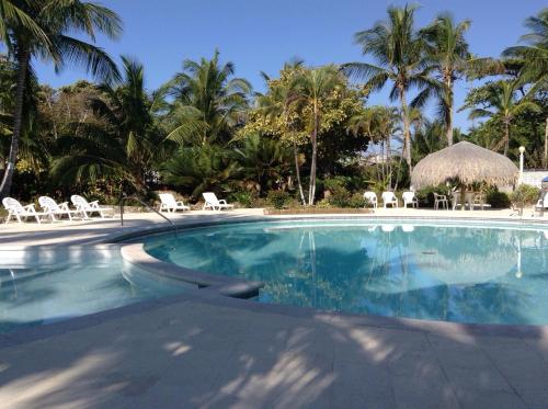 uma grande piscina com cadeiras e palmeiras em Sitio exclusivo y tranquilo em San Andrés