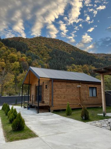 Khando's Resort في Passanauri: كابينة خشبية في الخلف جبل
