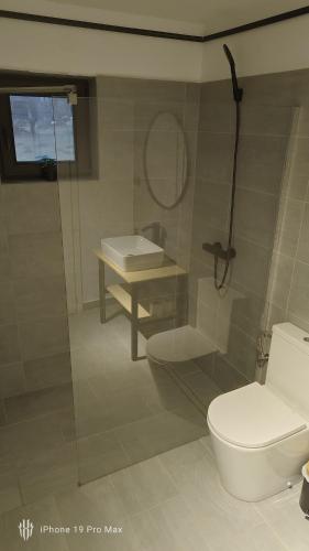 a bathroom with a toilet and a sink and a shower at Cabana Gala Doftanei in Trăisteni
