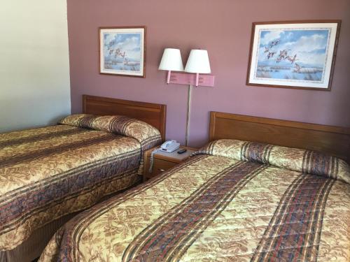 two beds in a hotel room with purple walls at Best Value Inn Motel Sandusky in Marianna