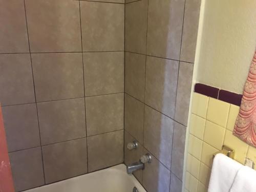 a bathroom with a shower with a tub and a toilet at Best Value Inn Motel Sandusky in Marianna