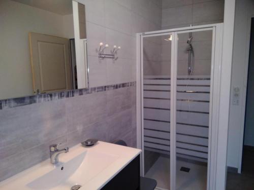 un baño con lavabo y ducha en Gîte les lys à Lignières Chatelain, en Lignières-Châtelain