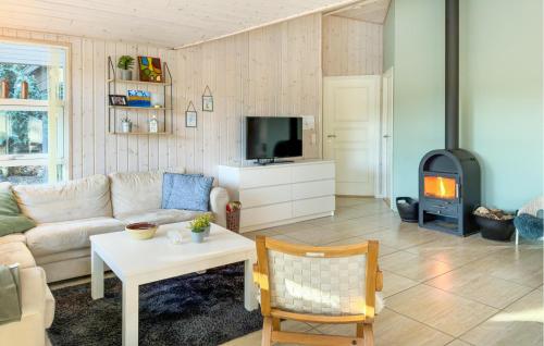 Una sala de estar con un sofá y un televisor. en 3 Bedroom Beautiful Home In Silkeborg, en Abildskov
