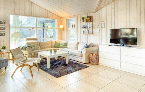 Una sala de estar con un sofá y un televisor. en 3 Bedroom Beautiful Home In Silkeborg, en Abildskov