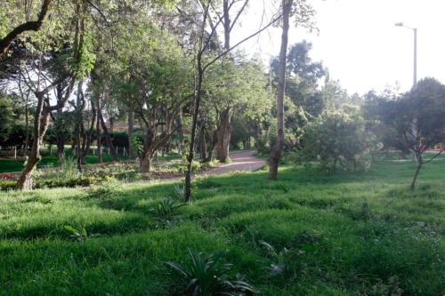 a park with green grass and trees and a road at Casa Posada Amelia in Bogotá