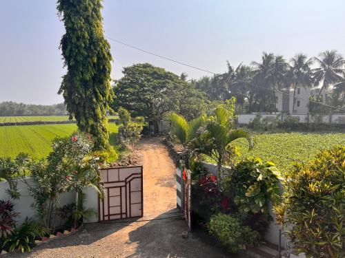 O grădină în afara 3 BHK - Coconut Farm stay - Near Somnath