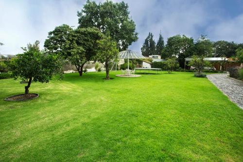 a green yard with a bench and trees at La Casita de Fraida in Guadalajara