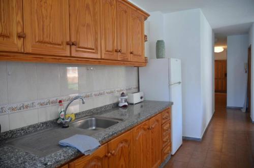 una cucina con lavello e frigorifero di Apt. Stella Playa a Valle Gran Rey