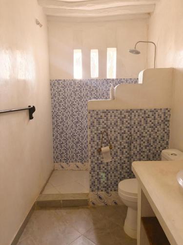 a bathroom with a shower with a toilet and a sink at Banana Shamba Estate in Lamu