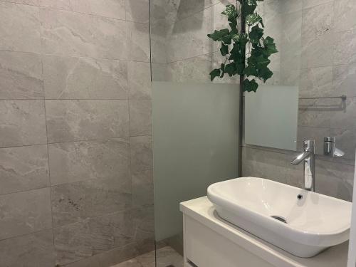 a bathroom with a sink and a potted plant at Gem Waterfront Butterfly Appartement in Bijilo