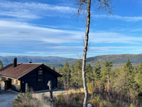 eine Hütte in den Bergen mit einem Baum in der Unterkunft Sveheim - cabin with an amazing view in Flå