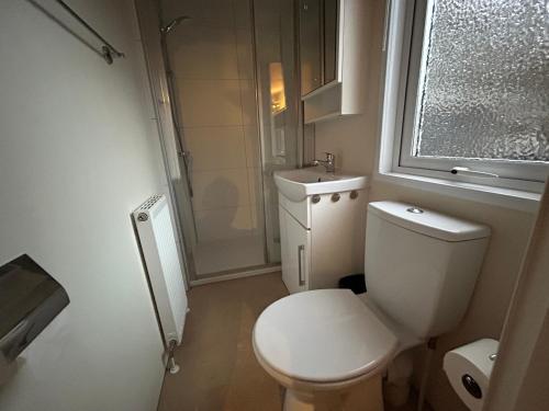 un bagno con wc, lavandino e doccia di Chalet 240 a Petten