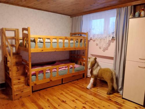 um quarto com dois beliches e um cavalo em pé dentro dele em Wiejski Dom w Karkonoszach em Mysłakowice
