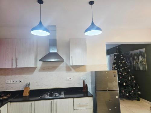 Η κουζίνα ή μικρή κουζίνα στο Winsor House