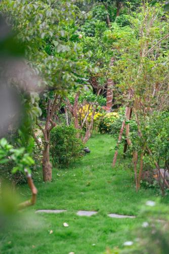 a garden with green grass and trees and a ladder at Edu Home in Ba Vì