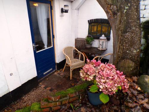 Un jardín fuera de Beach Quarter