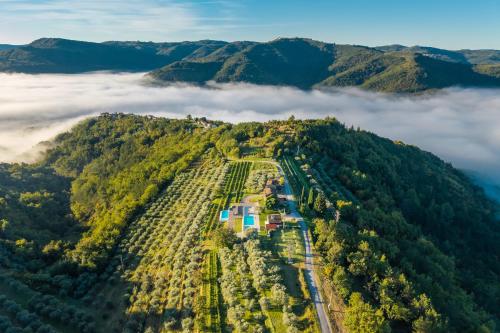 an aerial view of a mountain in the clouds at Villa with Private Pool & Lake View near Motovun, Casa Mille Olivi Heritage in Buzet