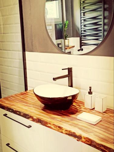 a bathroom with a sink and a mirror at Domek w Poleskim Parku in Urszulin