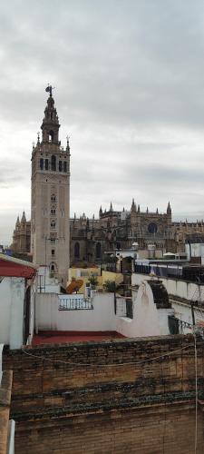 Hostly Placentines Catedral photo 47