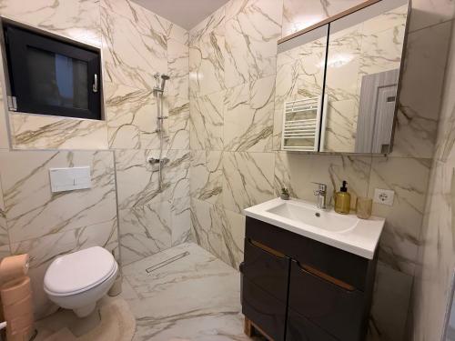 a bathroom with a toilet and a sink and a tv at Casa Maxi in Gherla