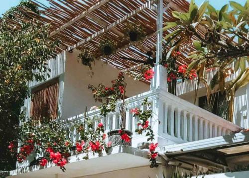 Zahrada ubytování Sanur Beachside Stunner