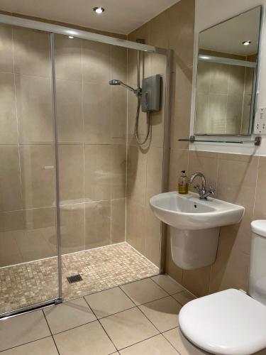 a bathroom with a shower and a sink and a toilet at Kingsbarns Apartment in Kingsbarns