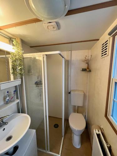 a bathroom with a shower and a toilet and a sink at Vakantiepark Klein Vink - 25 in Arcen