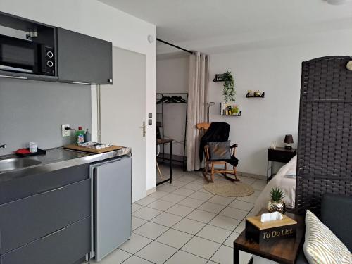 Meublé du centre في نيديربرون ليه باينس: مطبخ وغرفة معيشة مع حوض وأريكة