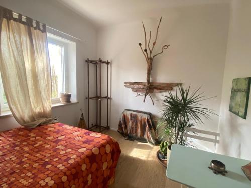 Robinson guesthouse & massages