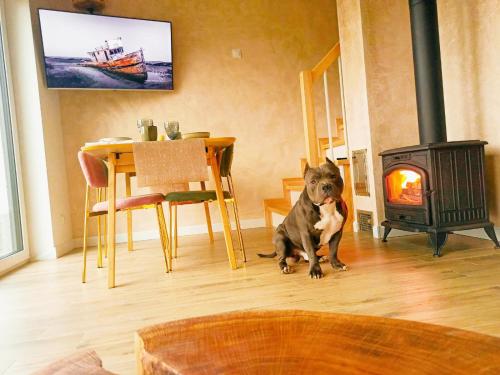 Huéspedes con una o varias mascotas en Chatka Mechatka