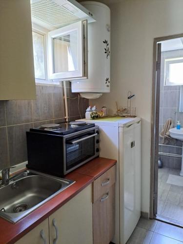 a small kitchen with a sink and a microwave at std- Na lepom plavom Dunavu in Kladušnica